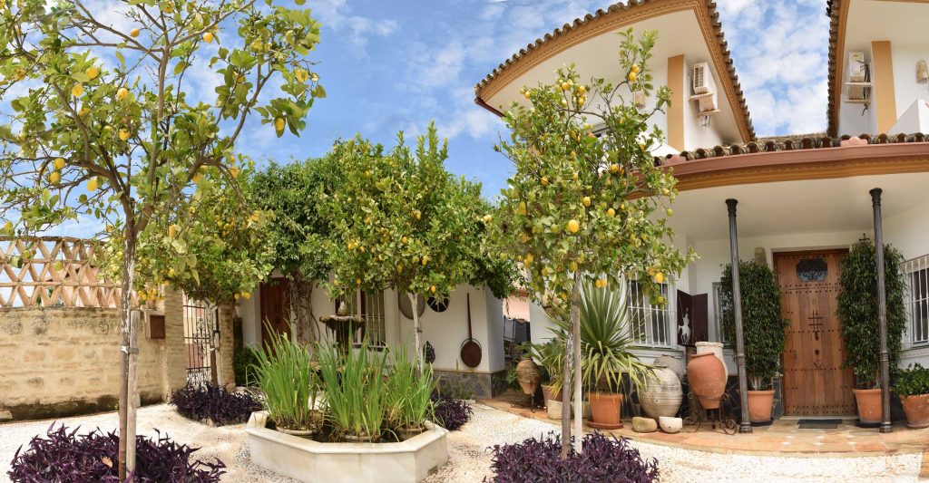 Villa Elsy